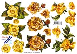 Golden Roses - 8215113