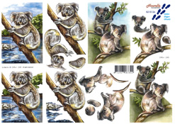 Koola Bear - 8215126