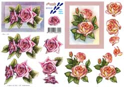 Peach and Purple Roses - 8215137