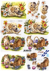 Cats And Dogs - 8215140