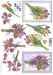Tulips - 8215146