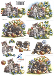 Cats and Dogs - 8215164