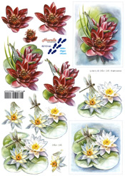 Dragonfly and Waterlilies - 8215166