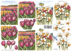 Tulips and daffoldils - 8215186