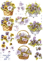 Pansy In Basket - 821519