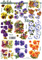 Pansies - 8215190