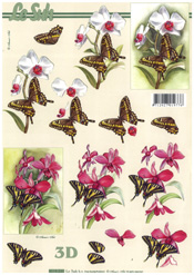 Butterflies - 8215220