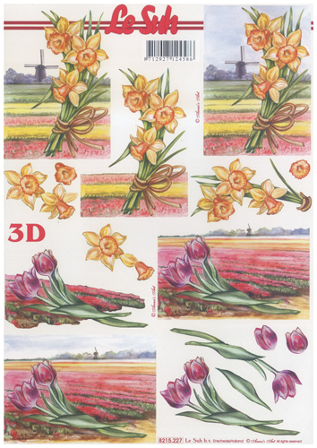 Daffoldils and tulips A4 Sheet - 8215227