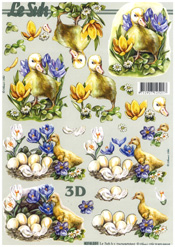 Chicks and Eggs - 8215231