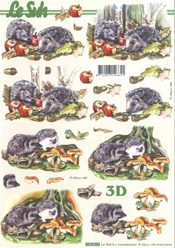 Hedgehogs in the Undergrowth - 8215252