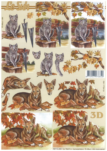 Cat and Dog in Autumn - 8215265