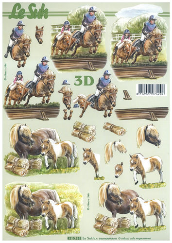 Horse Riding and My Little Pony - 8215282