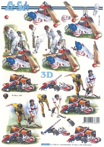 Cricket and Hockey - 8215295