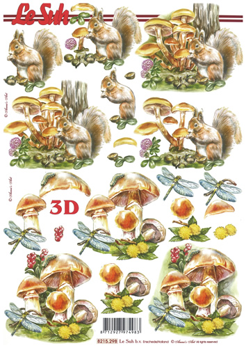 Squirrel And Fungi - 8215298