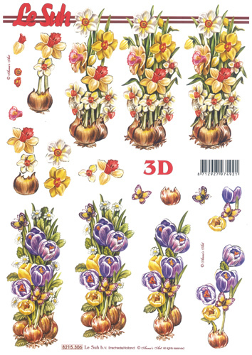 Crocuses and Daffoldils - 8215306