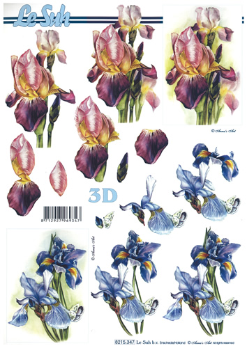 Irises - 8215347