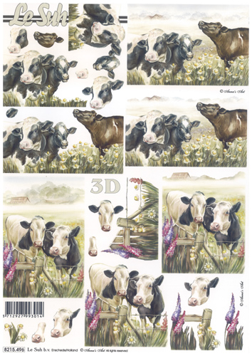 Cows in daisies - 8215496