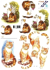 Cats - 821558