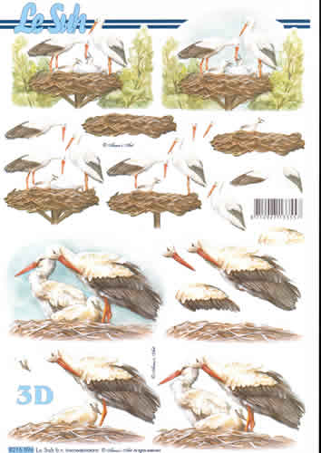 A4 Sheet Birds Nesting - 8215596 B