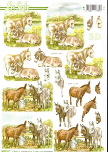 A4 Sheet Donkeys - 8215597