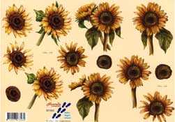 Sun Flowers - 821564