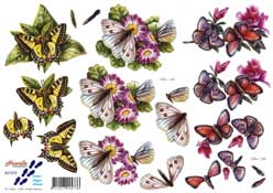 Butterflies - 821572