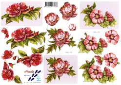 Pink Flowers - 821579