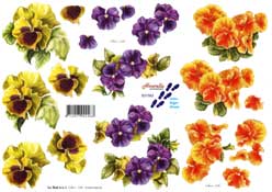 Pansies - 821583