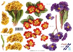 Flowers - 821590