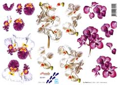 Flower Heads - 821591