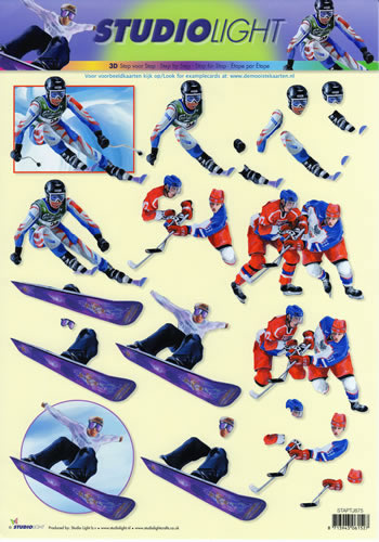 Skiing, snow boarding.Ice Hockey - 875TJ