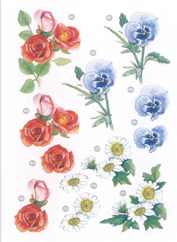 Panies Daisies and Roses - 9113