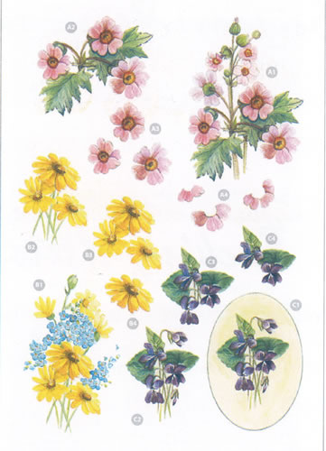 Framed Flowers Diecuts - 9118