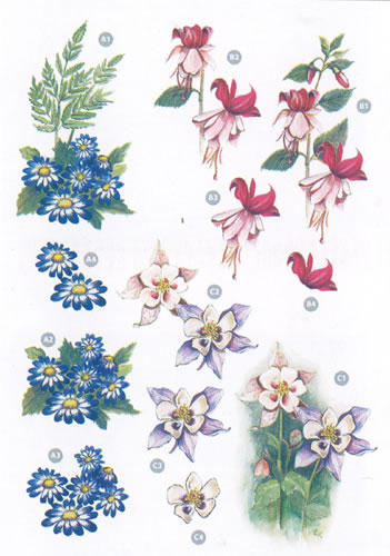 Fushias and Flower Diecuts - 9121