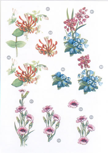 Flower Diecuts - 9122