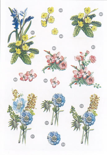 Primroses and Flower - 9123