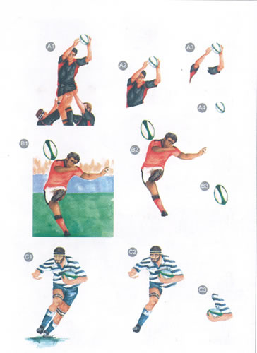 Rugby Diecuts - 9453