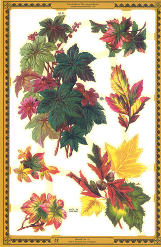 Autumn - A151
