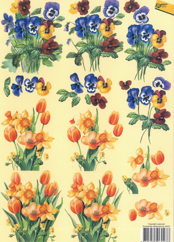 Pansies - Daffoldils - Tulips - 2417AV