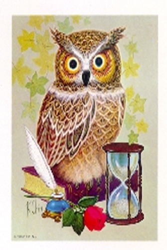 Own Time 5 x 4 - C0003