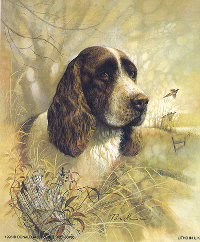 Enduring Loyality Dogs 5 x 4 - C0032