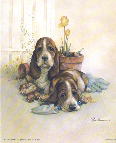 Basset Pups Dogs 5 x 4 - C0035