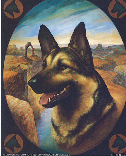 German Shepherd Dogs 5 x 4 - C0037