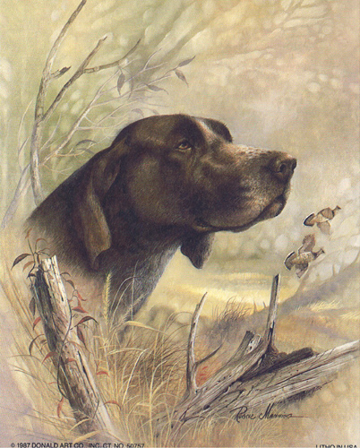 Beauty On Point Dogs 5 x 4 - C0039