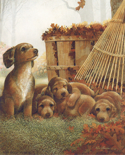 Autumn Playtime Dogs 5 x 4 - C0042