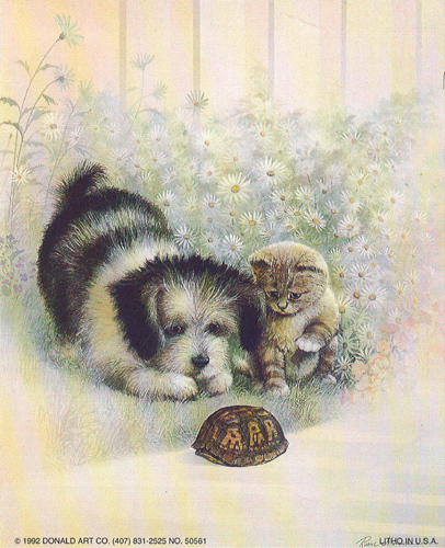 Poor Sport Dogs 5 x 4 - C0047