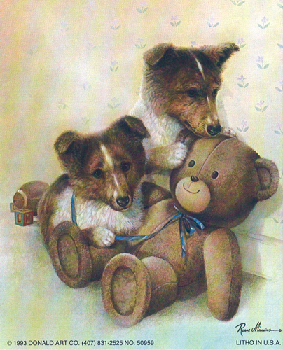 Collie Pups Dogs 5 x 4 - C0049