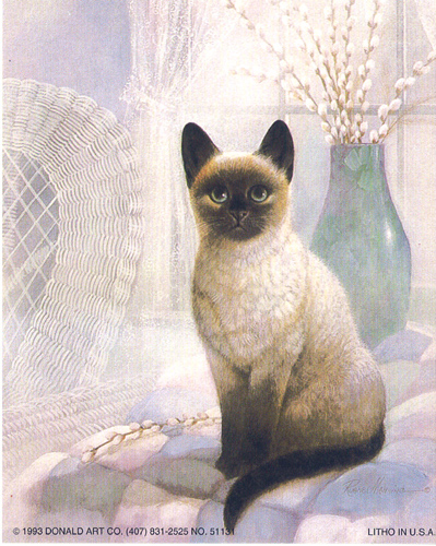 Siamese Cat Print Size 5 x 4 - C0056