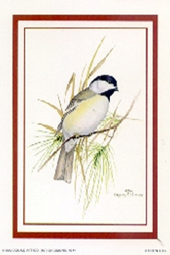 Birds A 5 x 4 - C0085