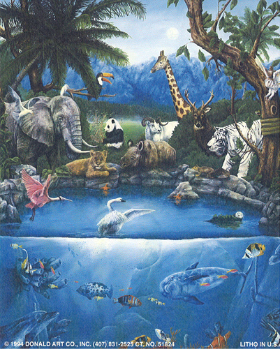 Garden of Eden 5 x 3 - C0089